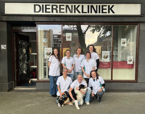 teamfoto van dierenkliniek nouki
